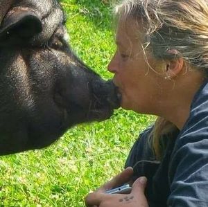 Meet your Posher, Sherry